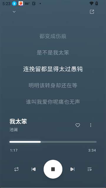 水獭音乐截图