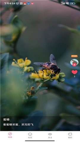 百阅 app老版截图