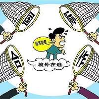 追逃追赃表情包gif动态版 