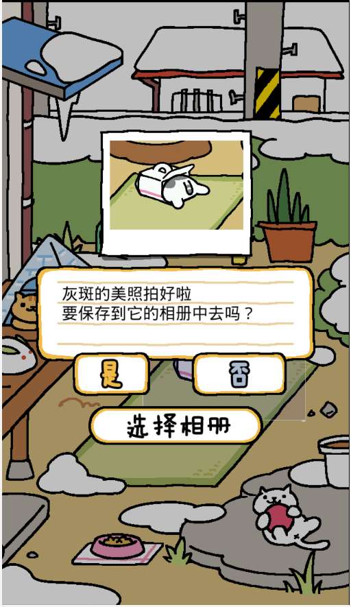 猫咪后院2截图