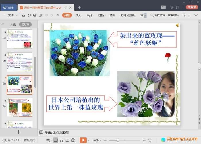 送你一束转基因花课件截图
