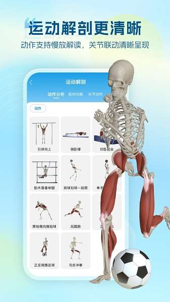 维萨里3D解剖 官方正版截图