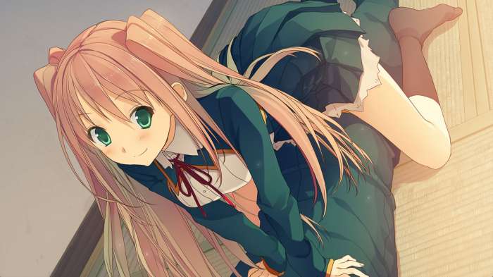 恋爱与选举与巧克力 官方版截图