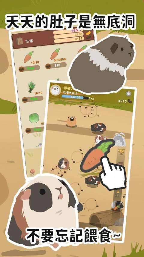 天竺鼠农场 官方正版截图