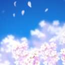 樱之诗 安卓版 v2.0