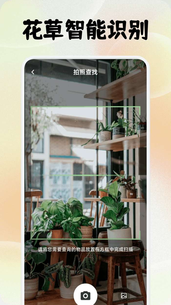 点点花开截图