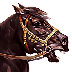 骑马与砍杀战团安卓版 v1.071