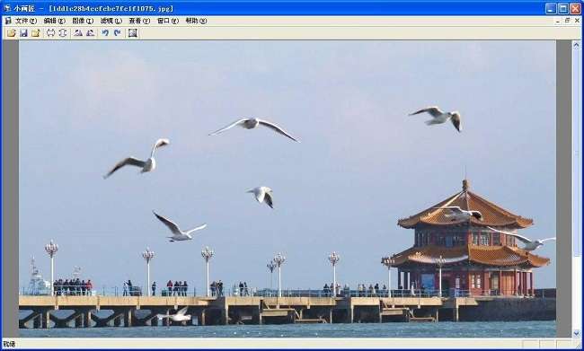小画匠(照片处理工具)截图