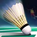realbadminton v1.07
