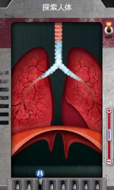 人体是如何运作的 最新版截图