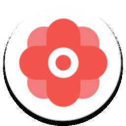 华为谷歌安装器 官网版 v22.7.96