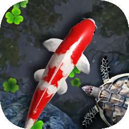 鱼池动态壁纸 完整版 v1.99