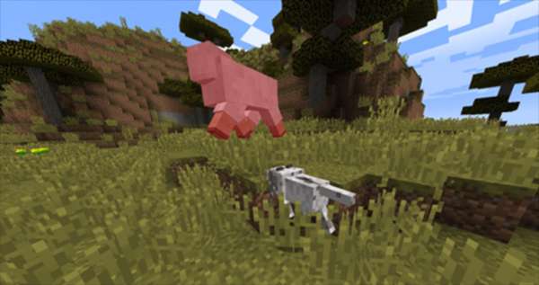 cat制裁盒子 最新版截图