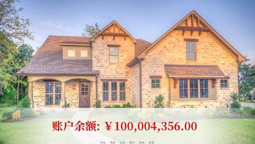 亿万恋人中文版截图