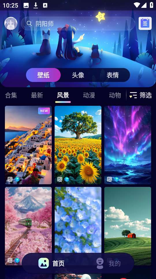 壁纸酱 官网下载截图