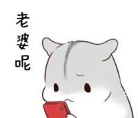 小仓鼠爱老婆QQ表情包 