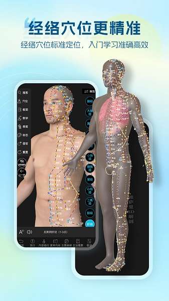 维萨里3D解剖 官方正版截图