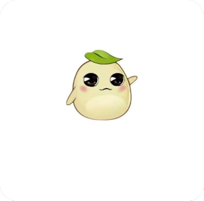 毛豆直装 10.0最新版 v10.0