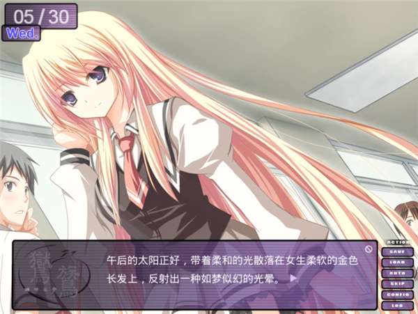 鸑鷟：镜花水月 汉化版截图