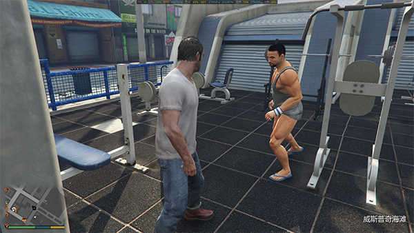 Grand Theft Auto V安卓版截图