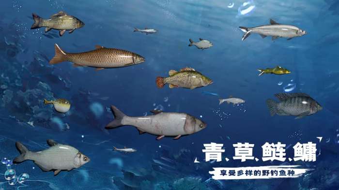 天天钓鱼 正版老旧版截图