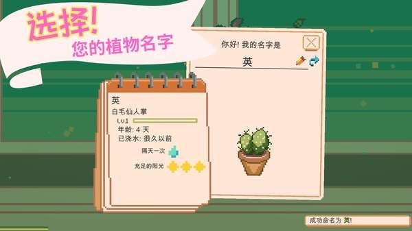 window garden截图
