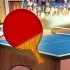 pingpong tour champion