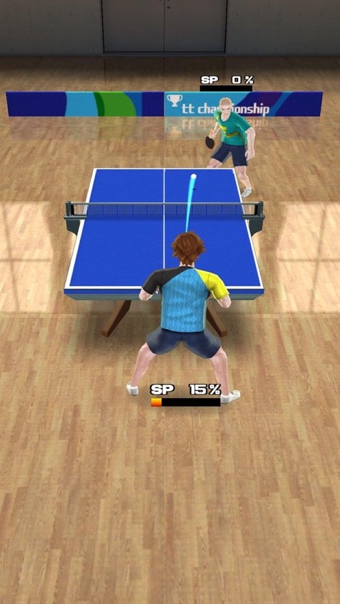 pingpong tour champion截图