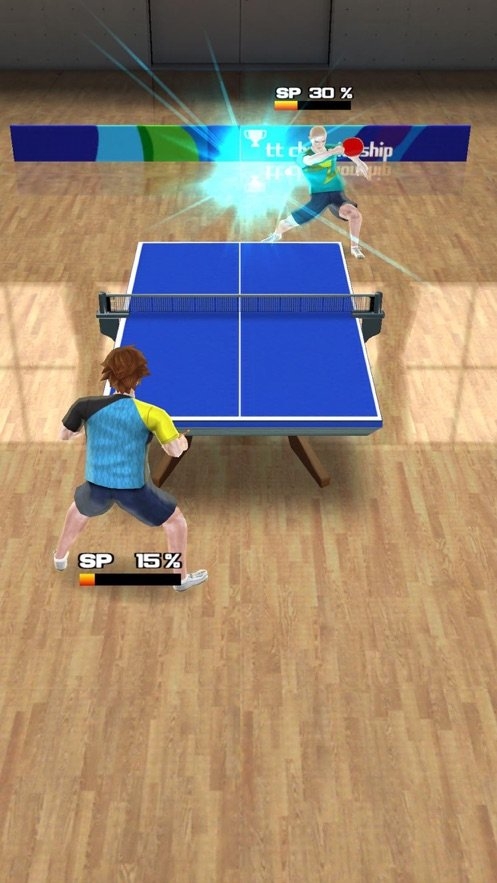 pingpong tour champion截图