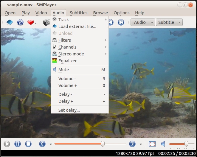 SMPlayer v19.5.0.9228 免费版