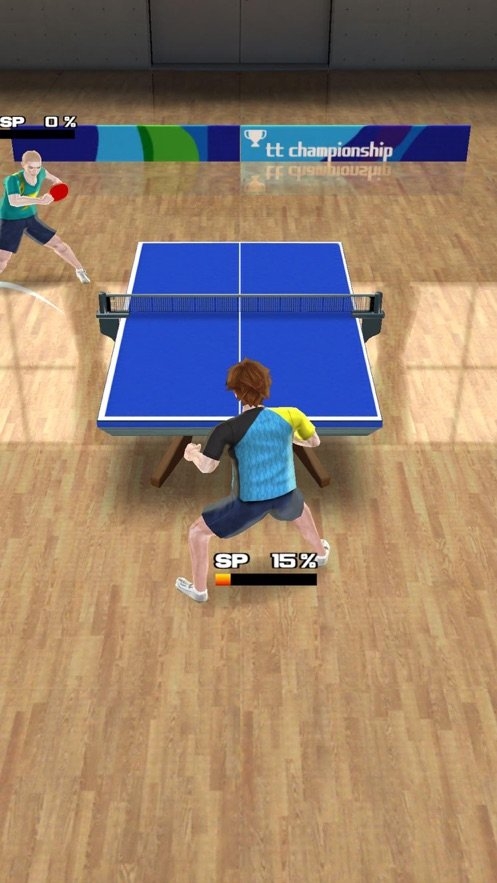 pingpong tour champion截图