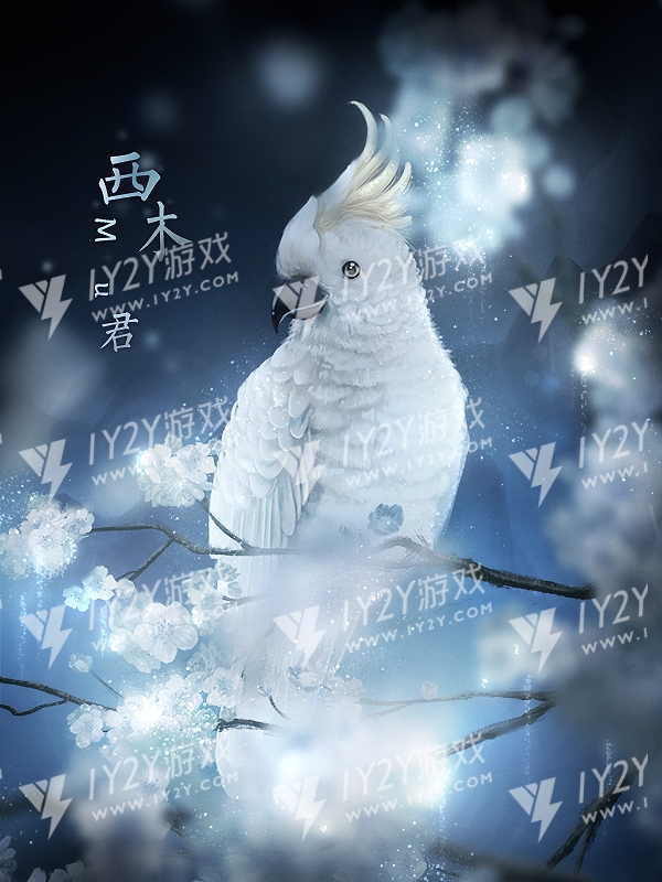 王爷在上橙光破解版截图