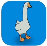 goose.io